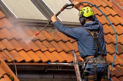 Démoussage et hydrofuge de toiture à Cussay